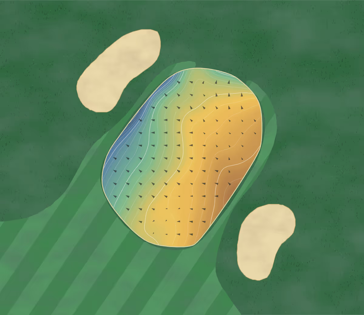 Green contour map of Ledgeview in Abbotsford, Canada — 185 elevation contours at a 8-centimeter interval with fall-line arrows, traced from 1-meter lidar