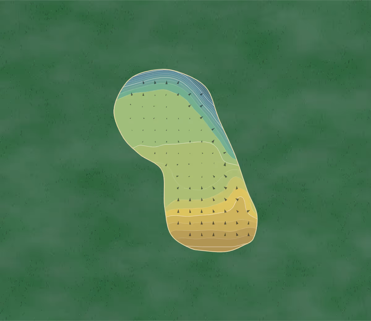 Green contour map of Lees Hall in Sheffield, England — 220 elevation contours at a 8-centimeter interval with fall-line arrows, traced from 1-meter lidar