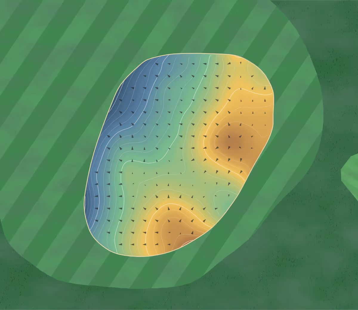 Green contour map of Legends in Myrtle Beach, South Carolina — 224 elevation contours at a 3-inch interval with fall-line arrows, traced from 1-meter lidar