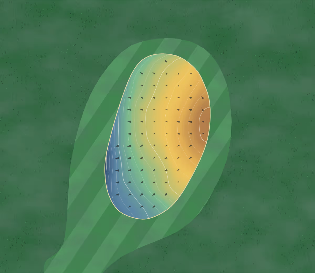 Green contour map of Lenox Events in Lexington, Tennessee: 95 elevation contours at a 3-inch interval with fall-line arrows, traced from 1-meter lidar