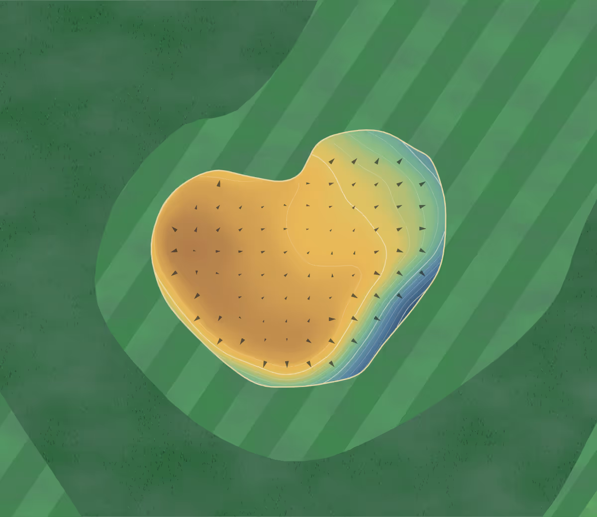 Green contour map of Leopardstown in Leopardstown Race Course, Ireland: 166 elevation contours at a 8-centimeter interval with fall-line arrows, traced from 1-meter lidar