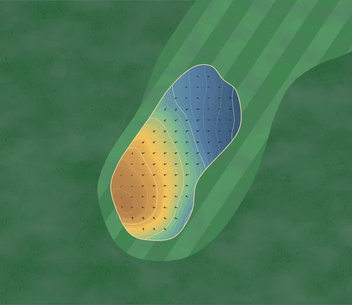 Green contour map of Leopardstown in Leopardstown Race Course, Ireland — 161 elevation contours at a 8-centimeter interval with fall-line arrows, traced from 1-meter lidar