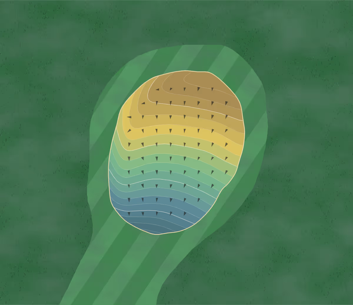 Green contour map of Lester Park in United States — 258 elevation contours at a 3-inch interval with fall-line arrows, traced from 1-meter lidar