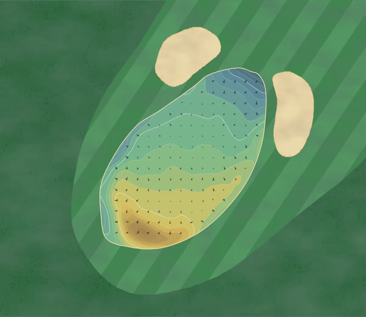 Green contour map of Liberton in Edinburgh, Scotland — 216 elevation contours at a 8-centimeter interval with fall-line arrows, traced from 1-meter lidar