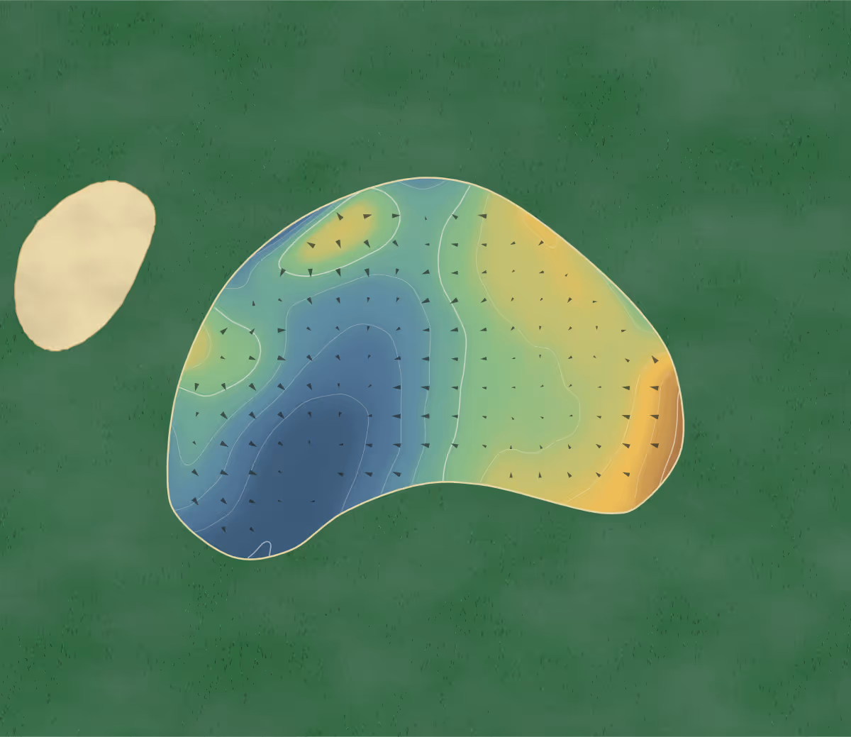 Green contour map of Lichfield in Lichfield, England — 190 elevation contours at a 8-centimeter interval with fall-line arrows, traced from 1-meter lidar