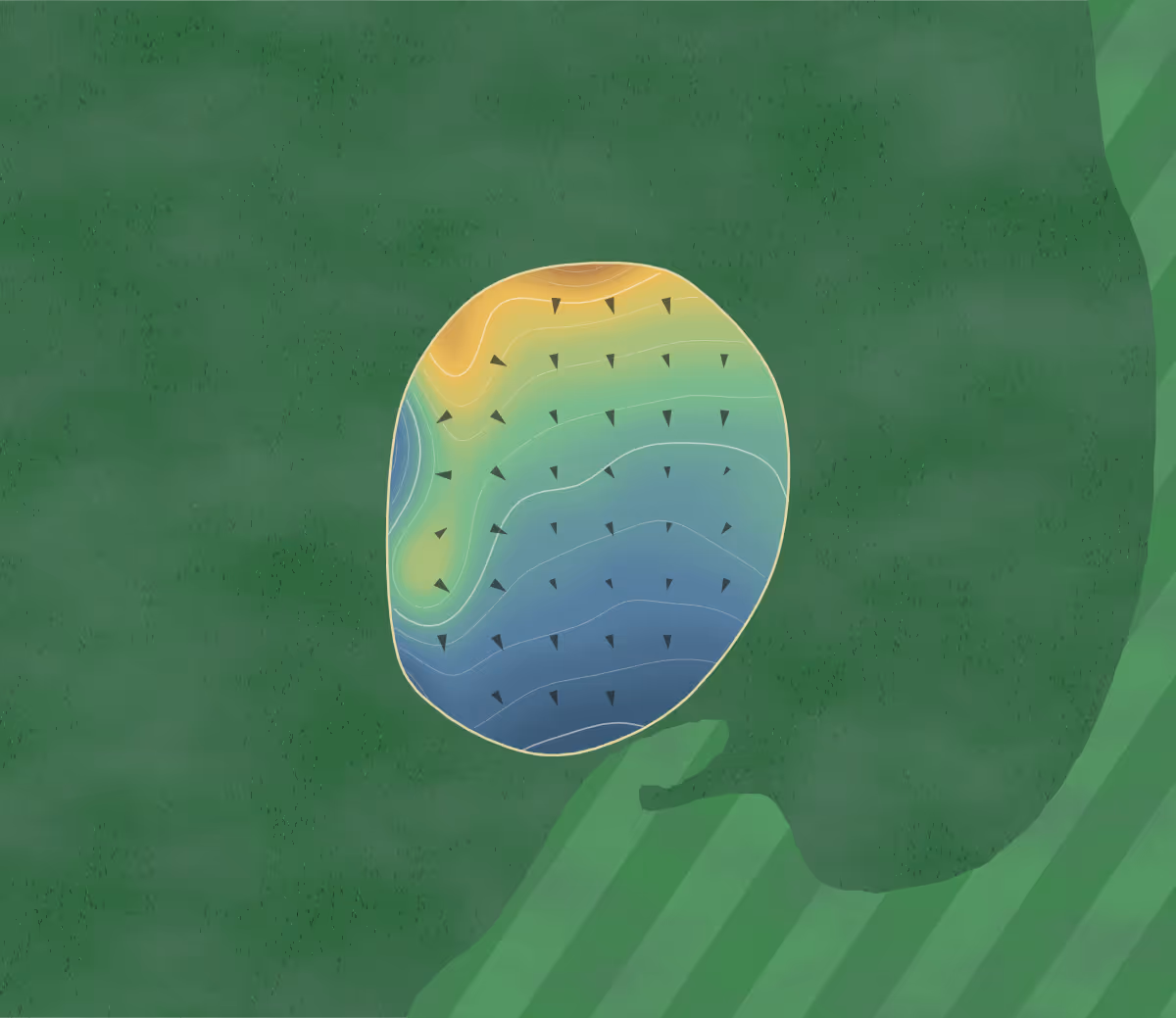 Green contour map of Lincoln in Grand Rapids, Michigan: 156 elevation contours at a 3-inch interval with fall-line arrows, traced from 1-meter lidar