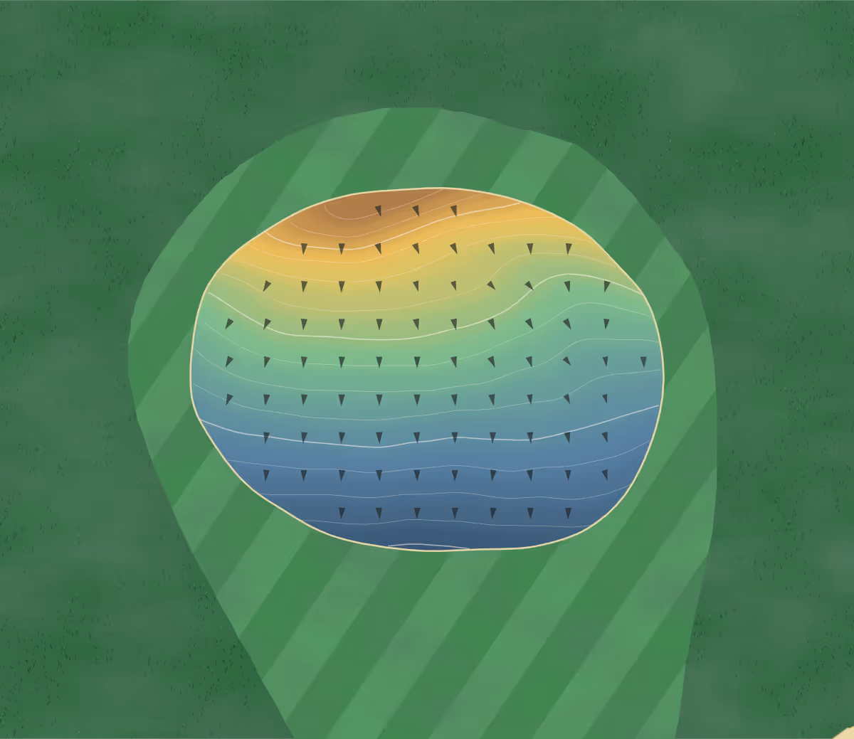 Green contour map of Lisbon Bissell in Lisbon, North Dakota — 74 elevation contours at a 3-inch interval with fall-line arrows, traced from 1-meter lidar
