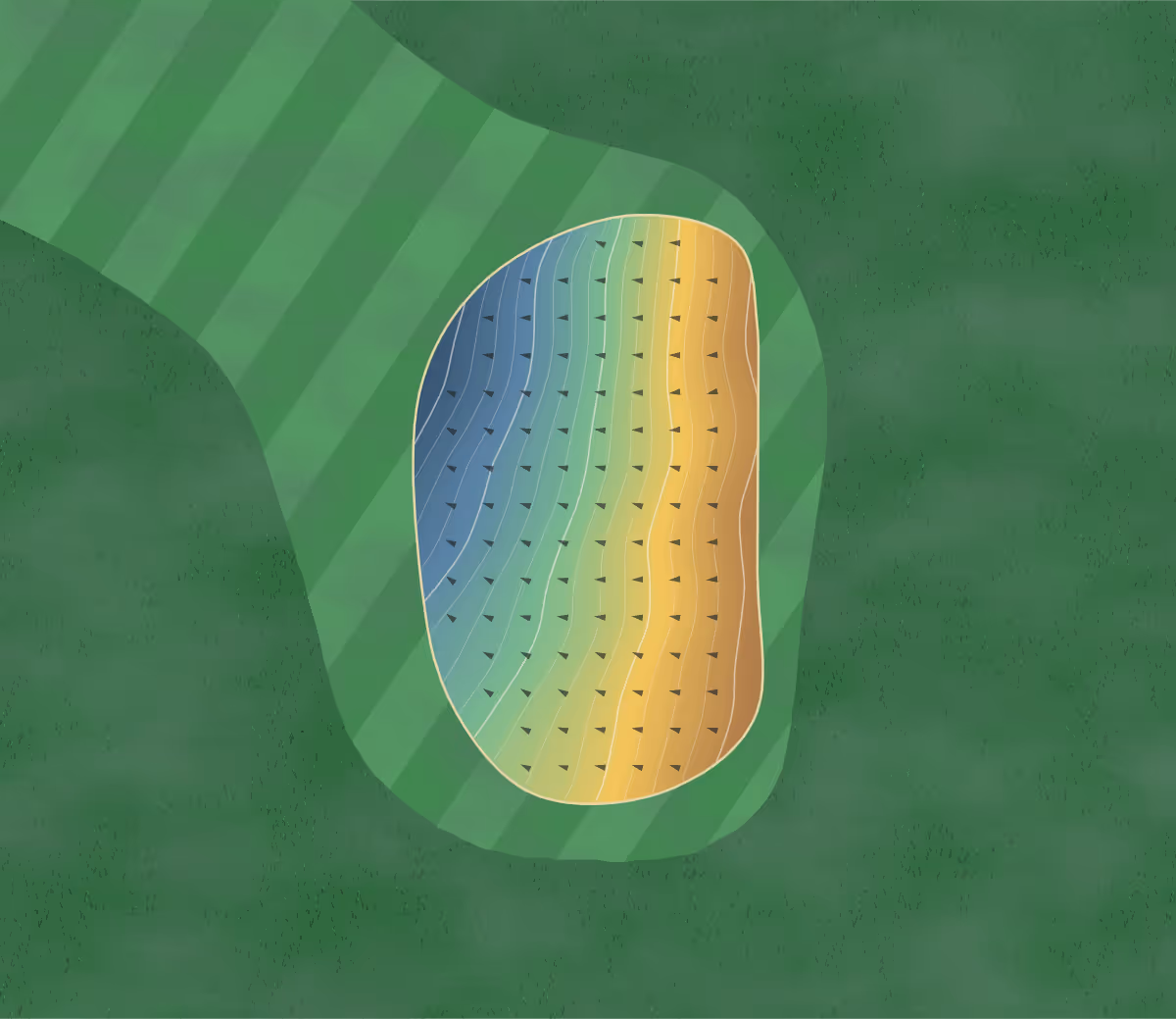 Green contour map of Lismore in Lismore, Ireland — 118 elevation contours at a 8-centimeter interval with fall-line arrows, traced from 1-meter lidar