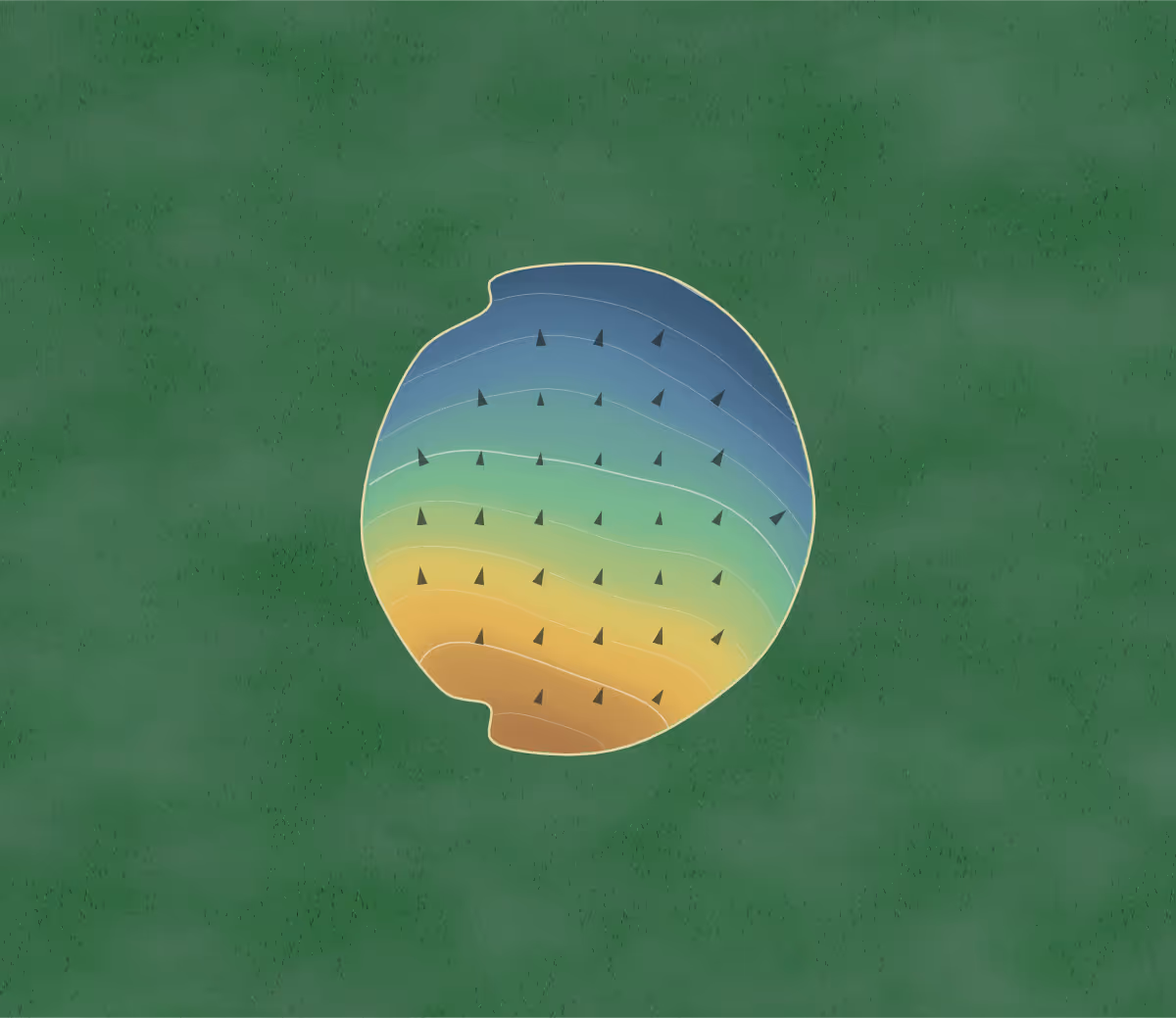 Green contour map of Litchfield CC in Litchfield, Illinois: 40 elevation contours at a 3-inch interval with fall-line arrows, traced from 1-meter lidar