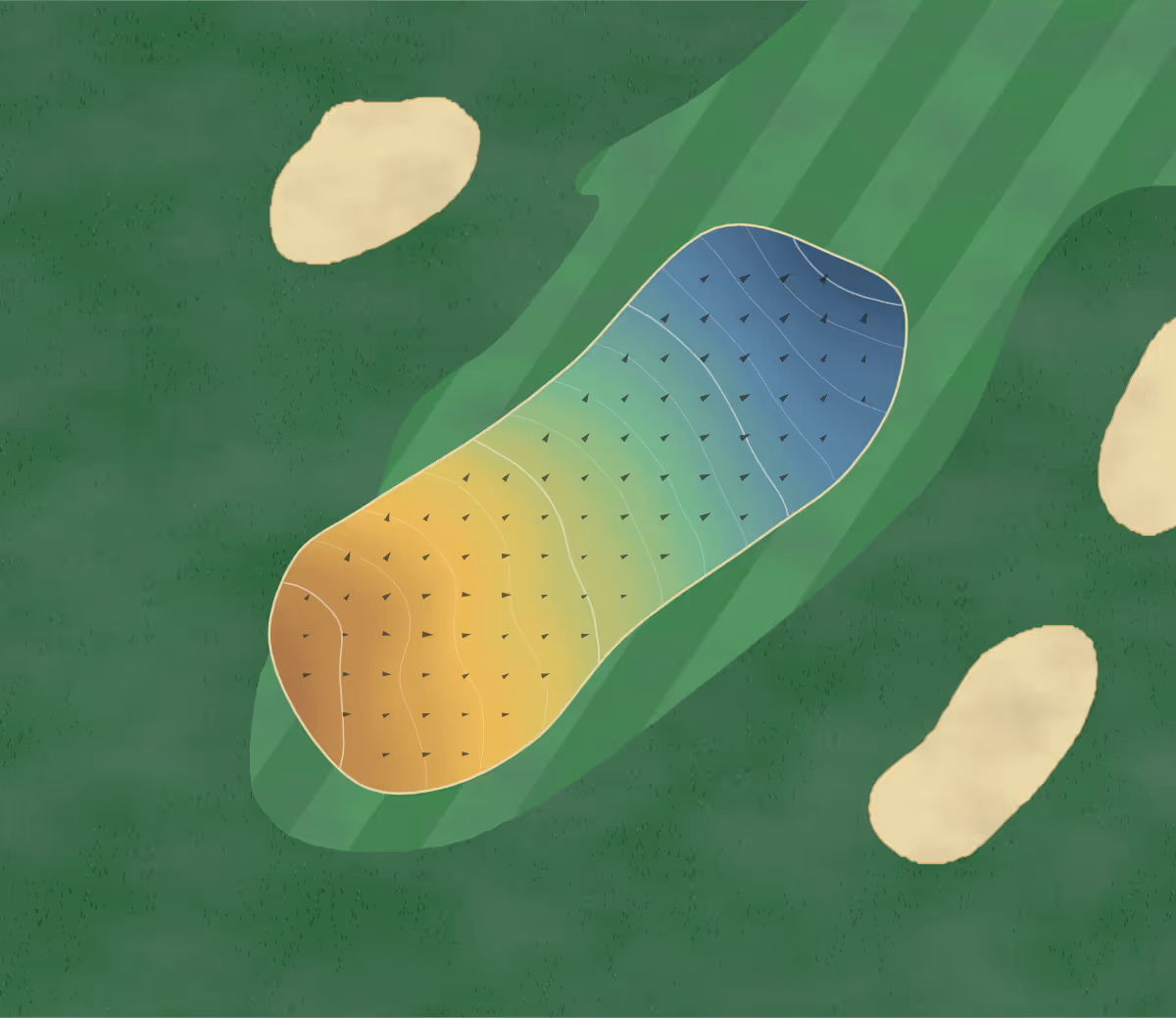 Green contour map of Little Hay in Nr. Hemel Hempstead, England: 136 elevation contours at a 8-centimeter interval with fall-line arrows, traced from 1-meter lidar