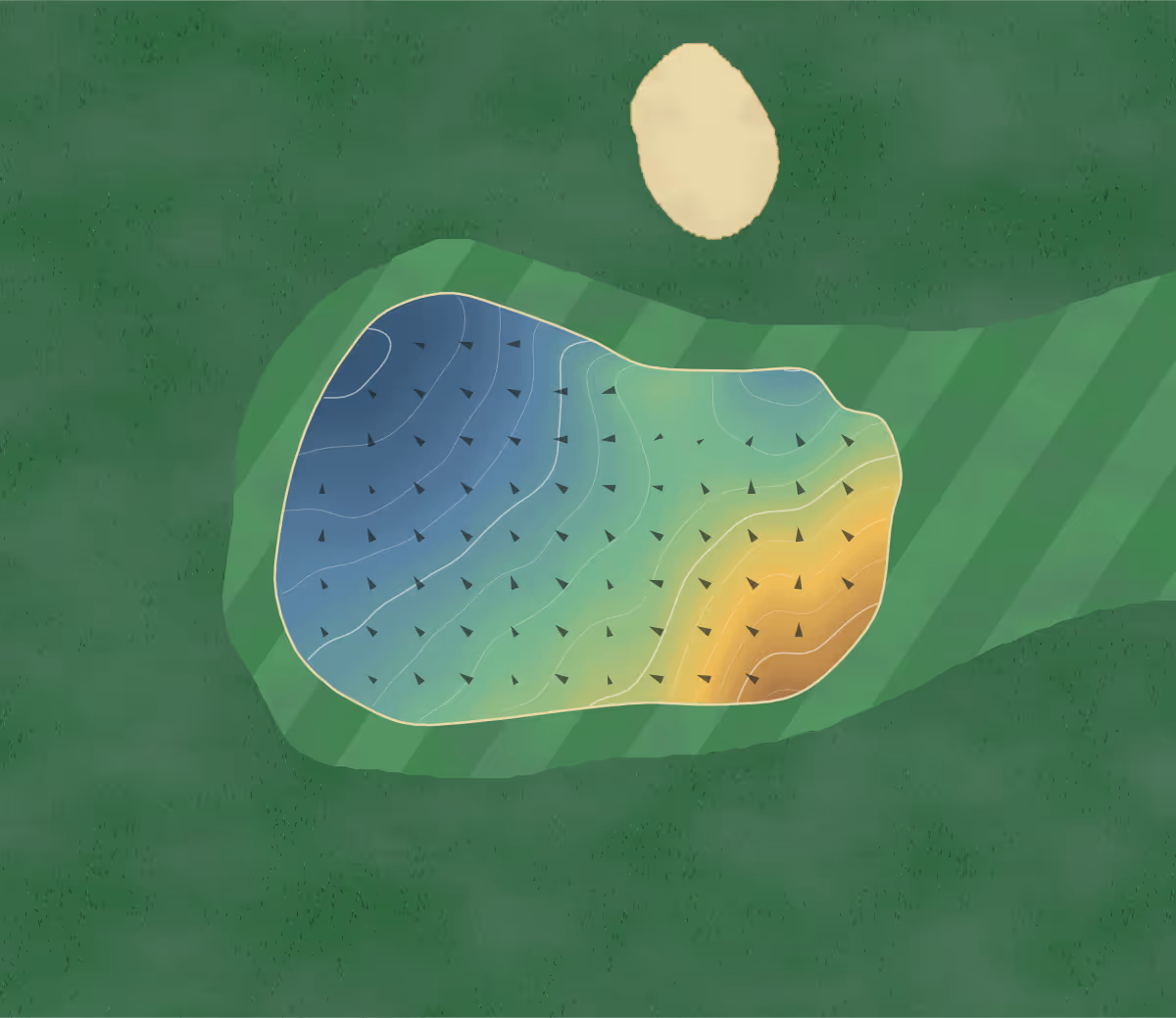 Green contour map of Allerton Manor in Liverpool, United Kingdom — 159 elevation contours at a 8-centimeter interval with fall-line arrows, traced from 1-meter lidar
