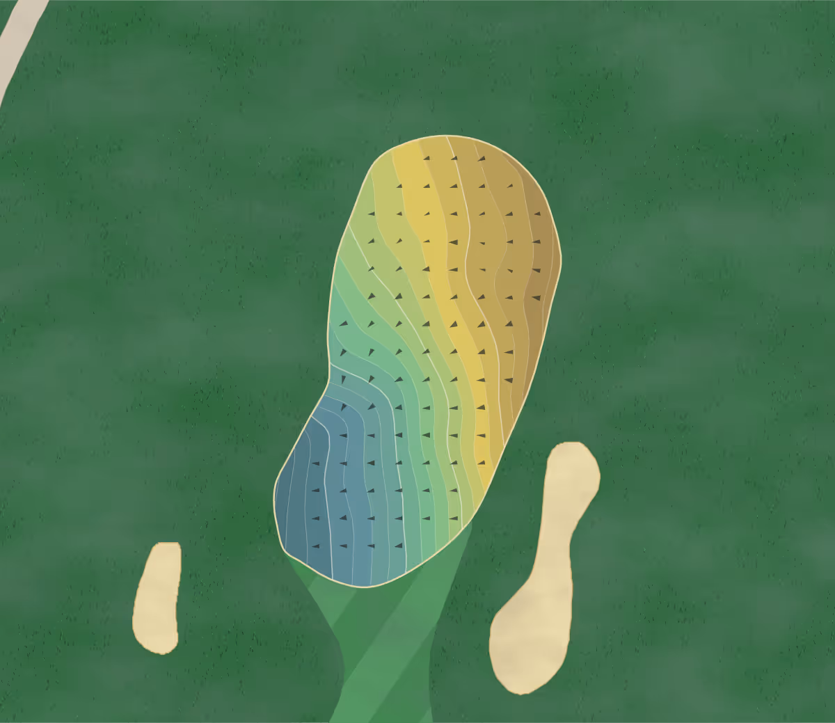 Green contour map of Livingston CC in Geneseo, New York — 184 elevation contours at a 3-inch interval with fall-line arrows, traced from 1-meter lidar