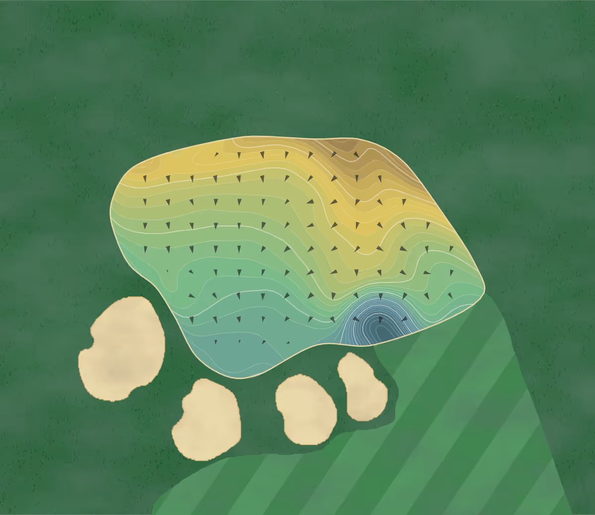 Green contour map of Llanerch in Havertown, Pennsylvania — 279 elevation contours at a 3-inch interval with fall-line arrows, traced from 1-meter lidar
