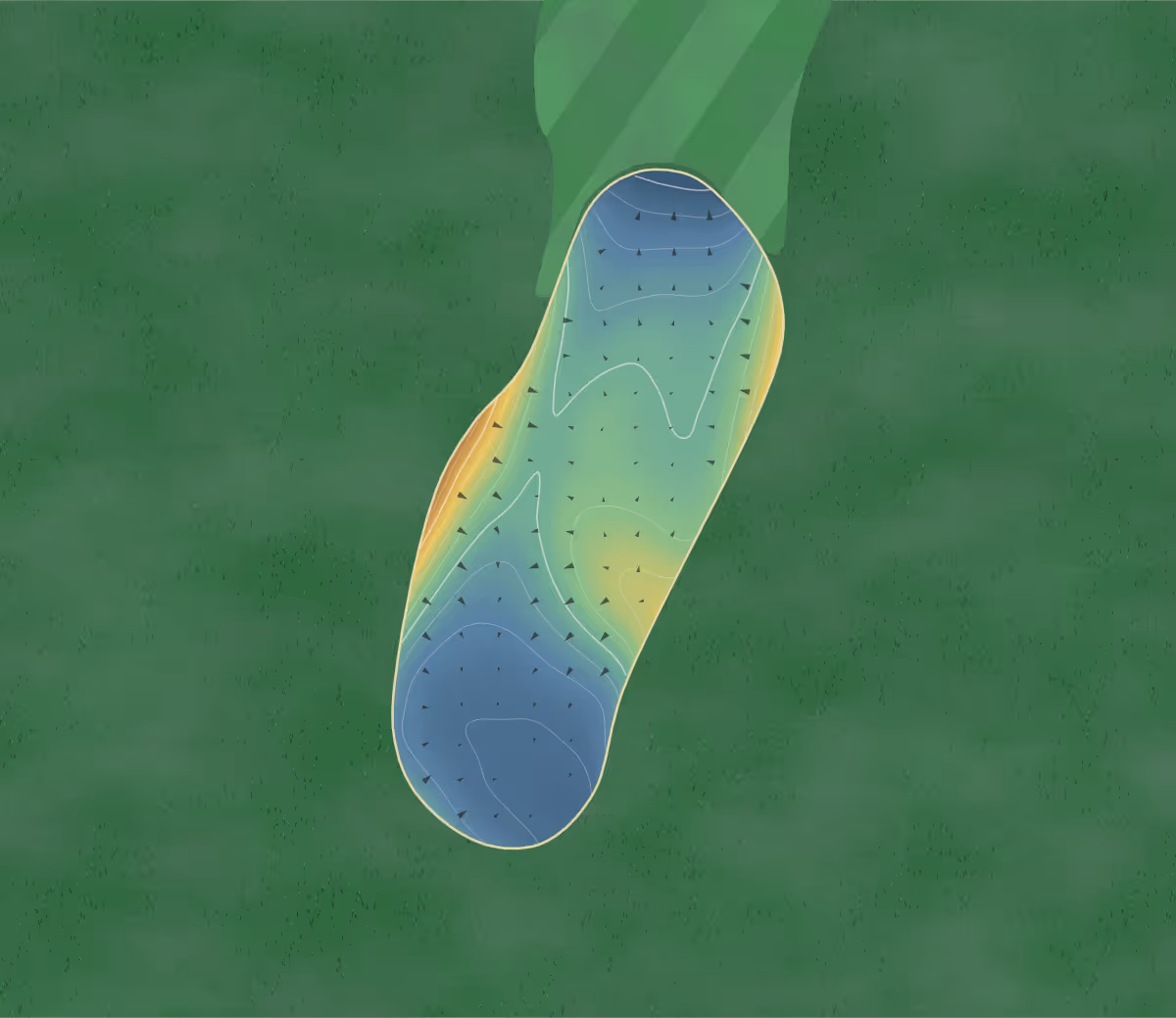 Green contour map of Locust Hills in Springfield, Ohio — 173 elevation contours at a 3-inch interval with fall-line arrows, traced from 1-meter lidar