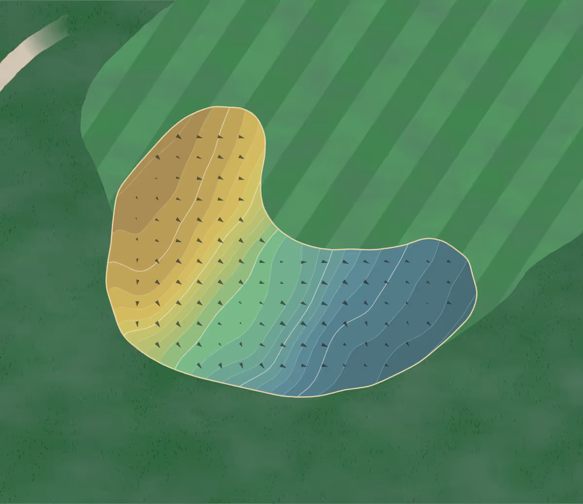 Green contour map of Loggers Trail in Stillwater, Minnesota — 101 elevation contours at a 3-inch interval with fall-line arrows, traced from 1-meter lidar