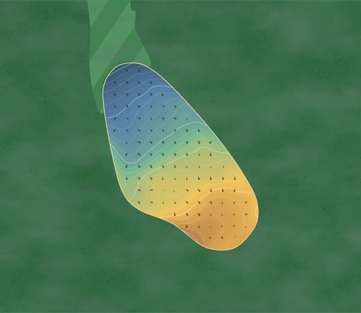 Green contour map of Long Bow in Walker, Minnesota: 226 elevation contours at a 3-inch interval with fall-line arrows, traced from 1-meter lidar