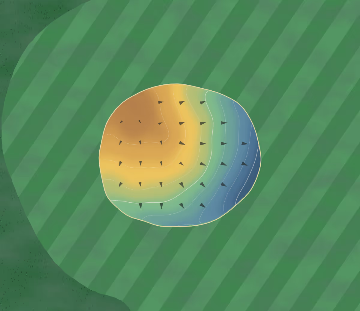 Green contour map of Longview Country Club in Longview, Texas — 9 elevation contours at a 3-inch interval with fall-line arrows, traced from 1-meter lidar