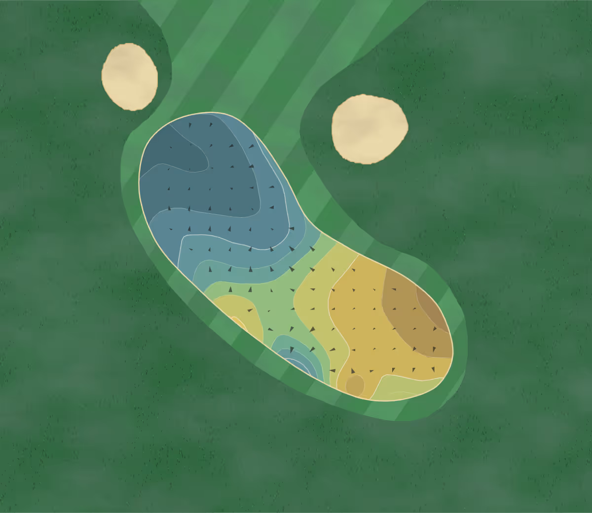 Green contour map of Looe GC in Looe, England — 156 elevation contours at a 8-centimeter interval with fall-line arrows, traced from 1-meter lidar