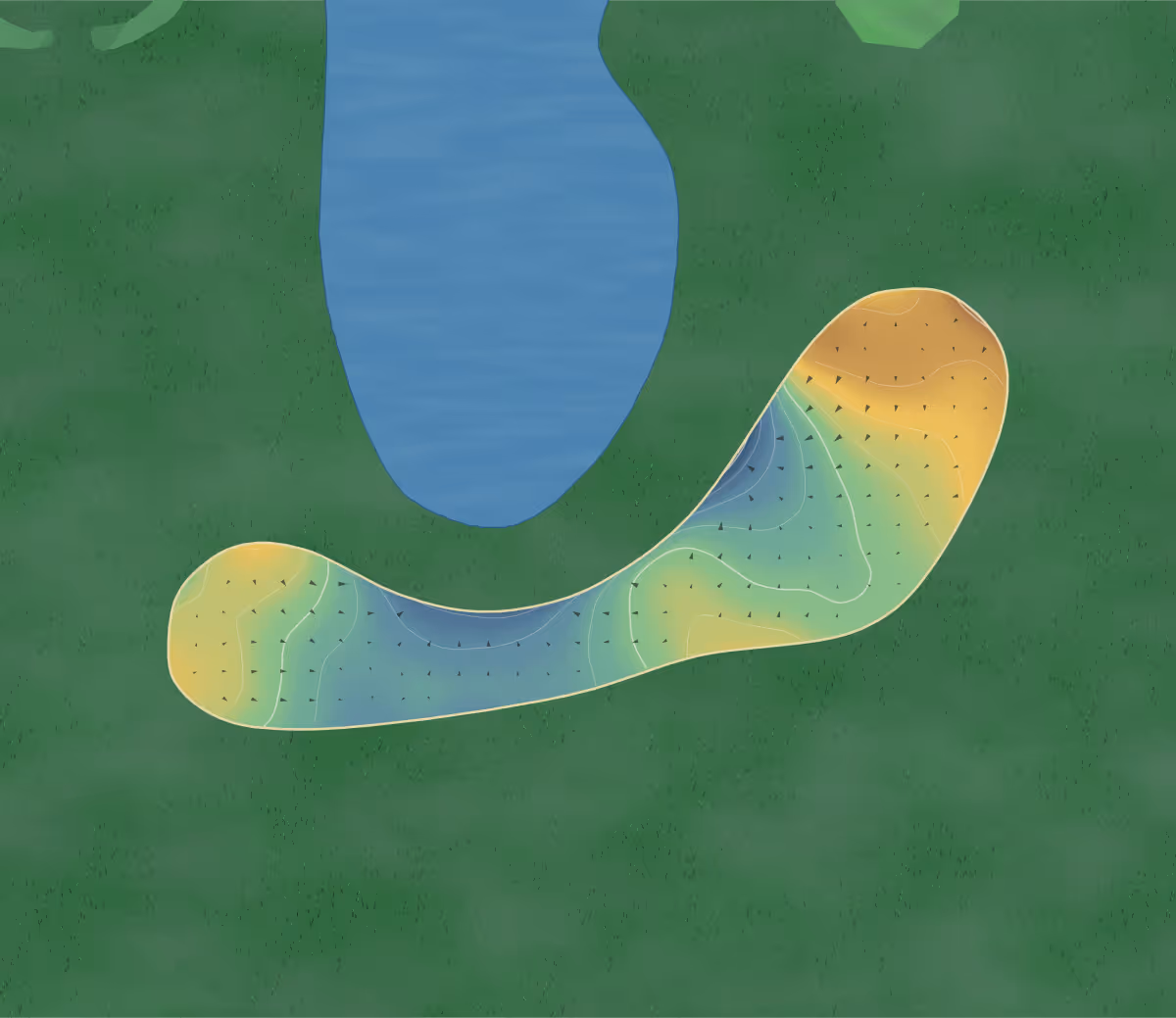 Green contour map of Loomis Trail in Blaine, Washington — 146 elevation contours at a 3-inch interval with fall-line arrows, traced from 1-meter lidar