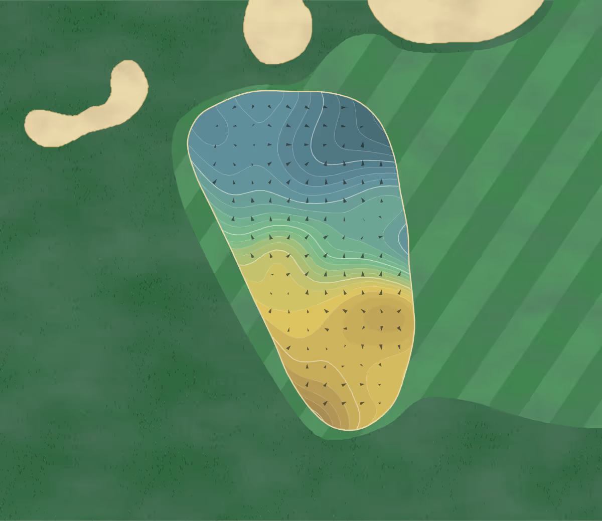 Green contour map of Lost Dunes in Bridgman, Michigan — 324 elevation contours at a 3-inch interval with fall-line arrows, traced from 1-meter lidar
