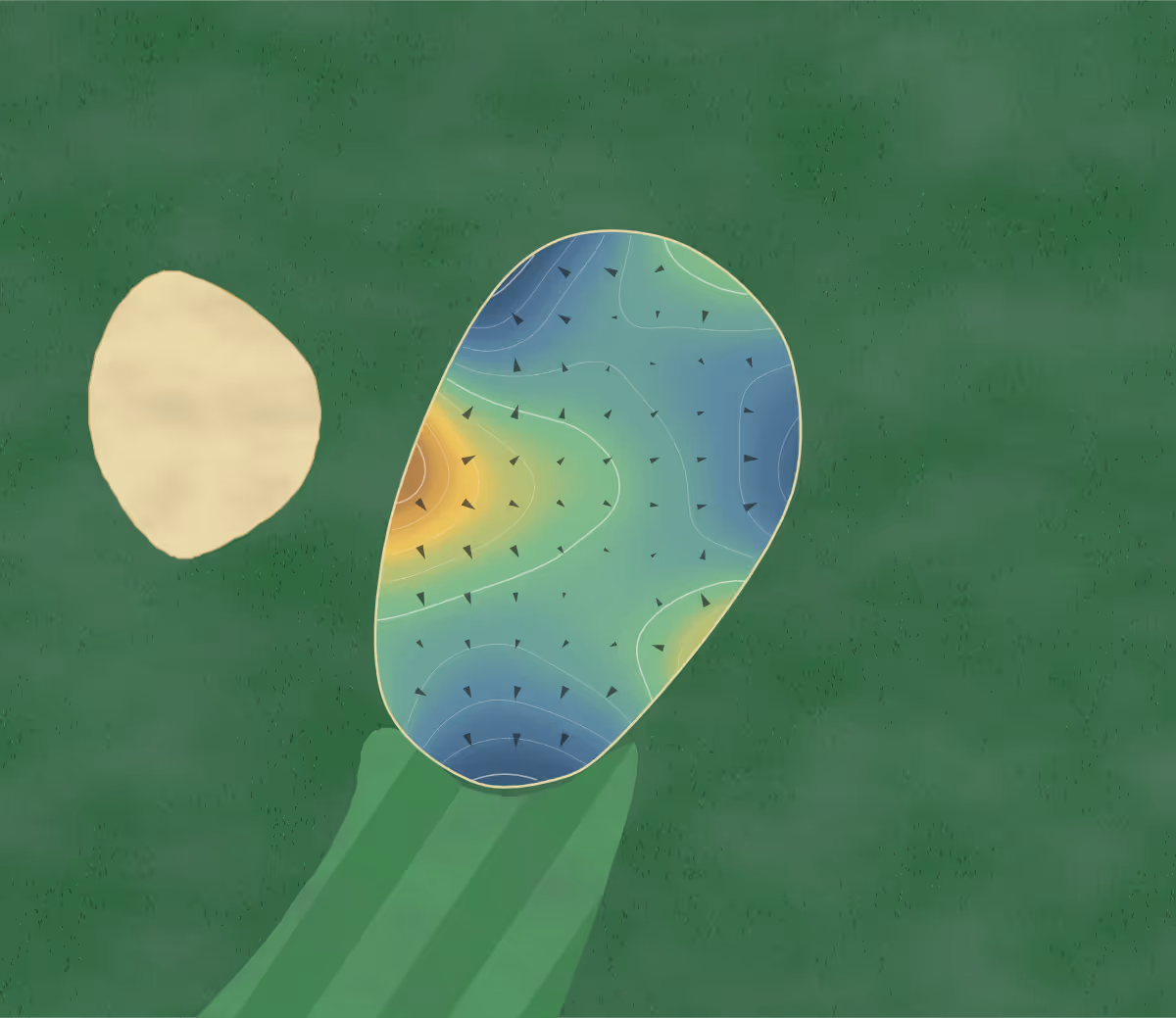 Green contour map of Lost Lake Woods in Lincoln, Michigan: 197 elevation contours at a 3-inch interval with fall-line arrows, traced from 1-meter lidar