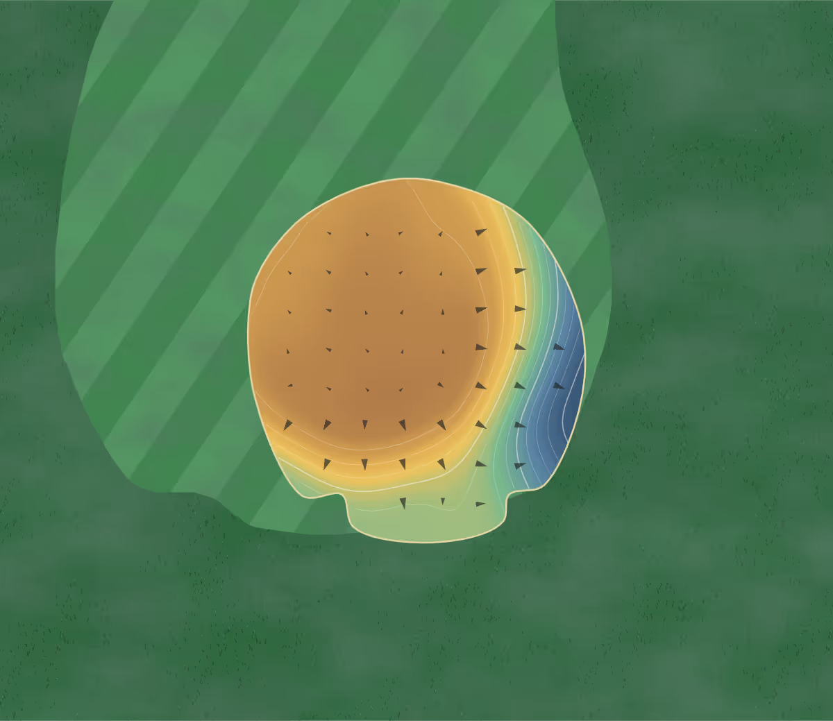 Green contour map of Loup City Public in Loup City, Nebraska: 71 elevation contours at a 3-inch interval with fall-line arrows, traced from 1-meter lidar