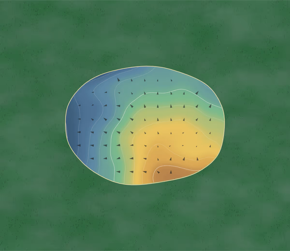 Green contour map of Lumsden in Lintley, New Zealand — 46 elevation contours at a 8-centimeter interval with fall-line arrows, traced from 1-meter lidar