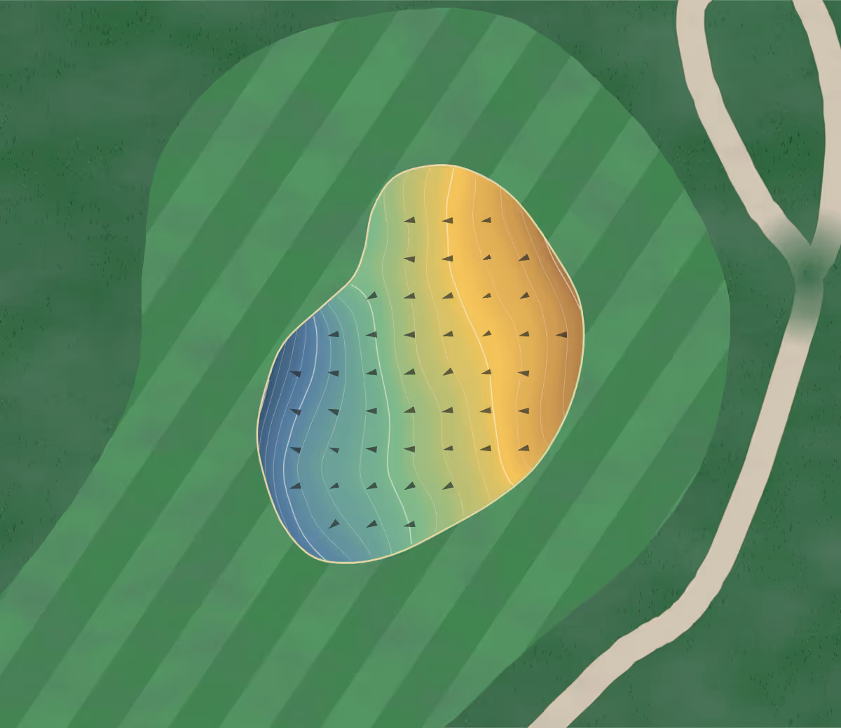 Green contour map of Lynrock in Eden, North Carolina — 86 elevation contours at a 3-inch interval with fall-line arrows, traced from 1-meter lidar