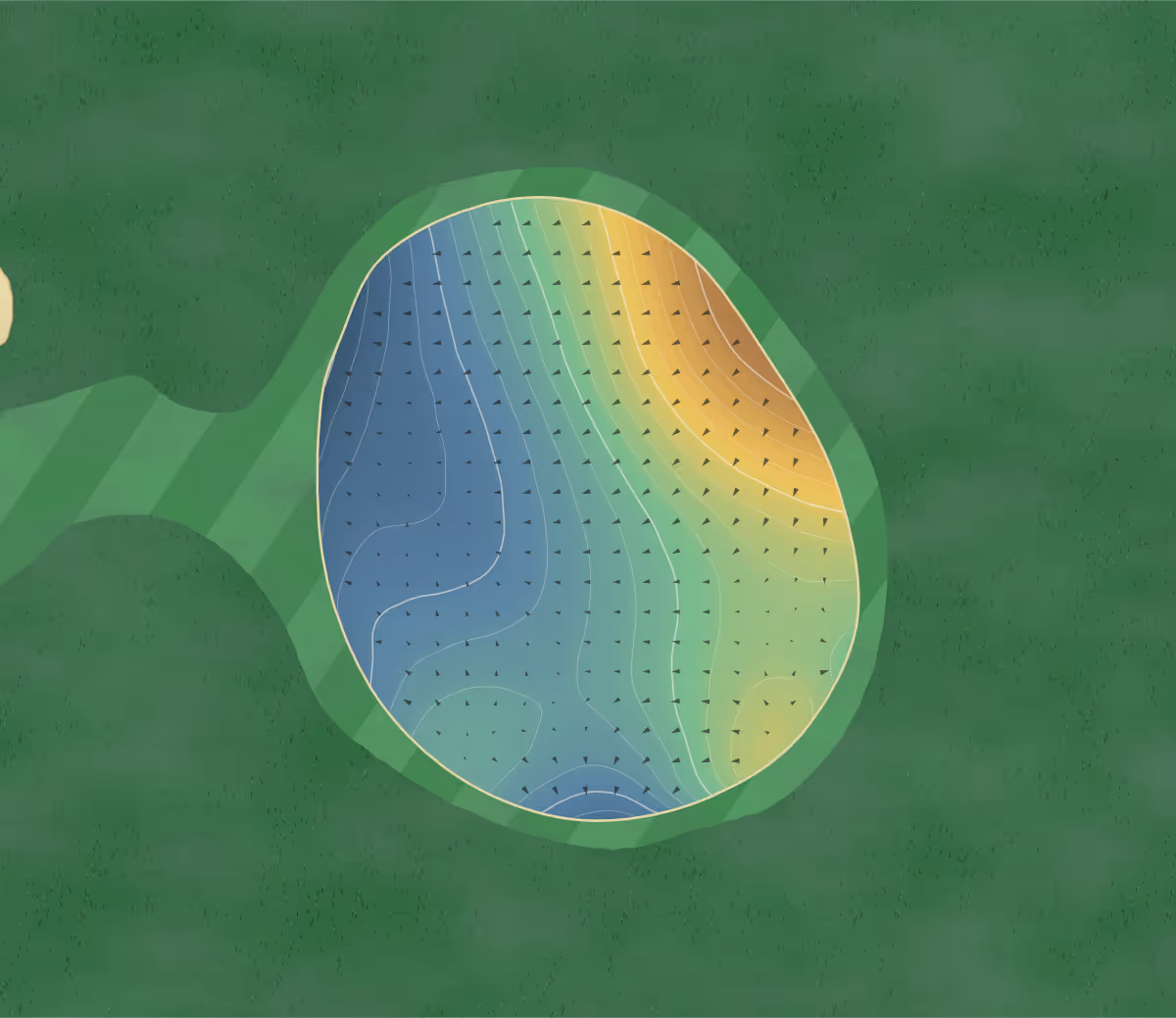 Green contour map of Spey Valley in Aviemore, Scotland — 209 elevation contours at a 8-centimeter interval with fall-line arrows, traced from 1-meter lidar