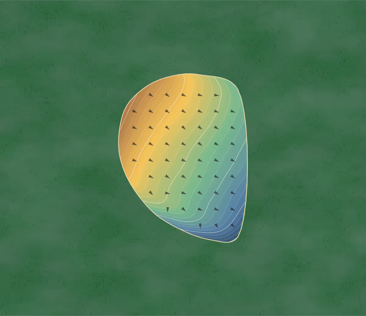 Green contour map of Madden's on Gull West in Brainerd, Minnesota: 114 elevation contours at a 3-inch interval with fall-line arrows, traced from 1-meter lidar