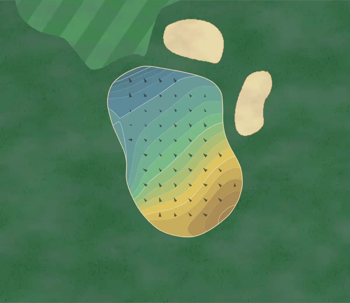 Green contour map of Madisonville in Madisonville, Kentucky — 246 elevation contours at a 3-inch interval with fall-line arrows, traced from 1-meter lidar