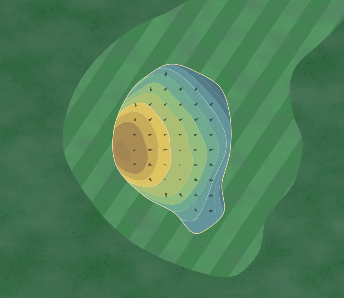 Green contour map of Magnolia CC in Magnolia, Arkansas — 158 elevation contours at a 3-inch interval with fall-line arrows, traced from 1-meter lidar