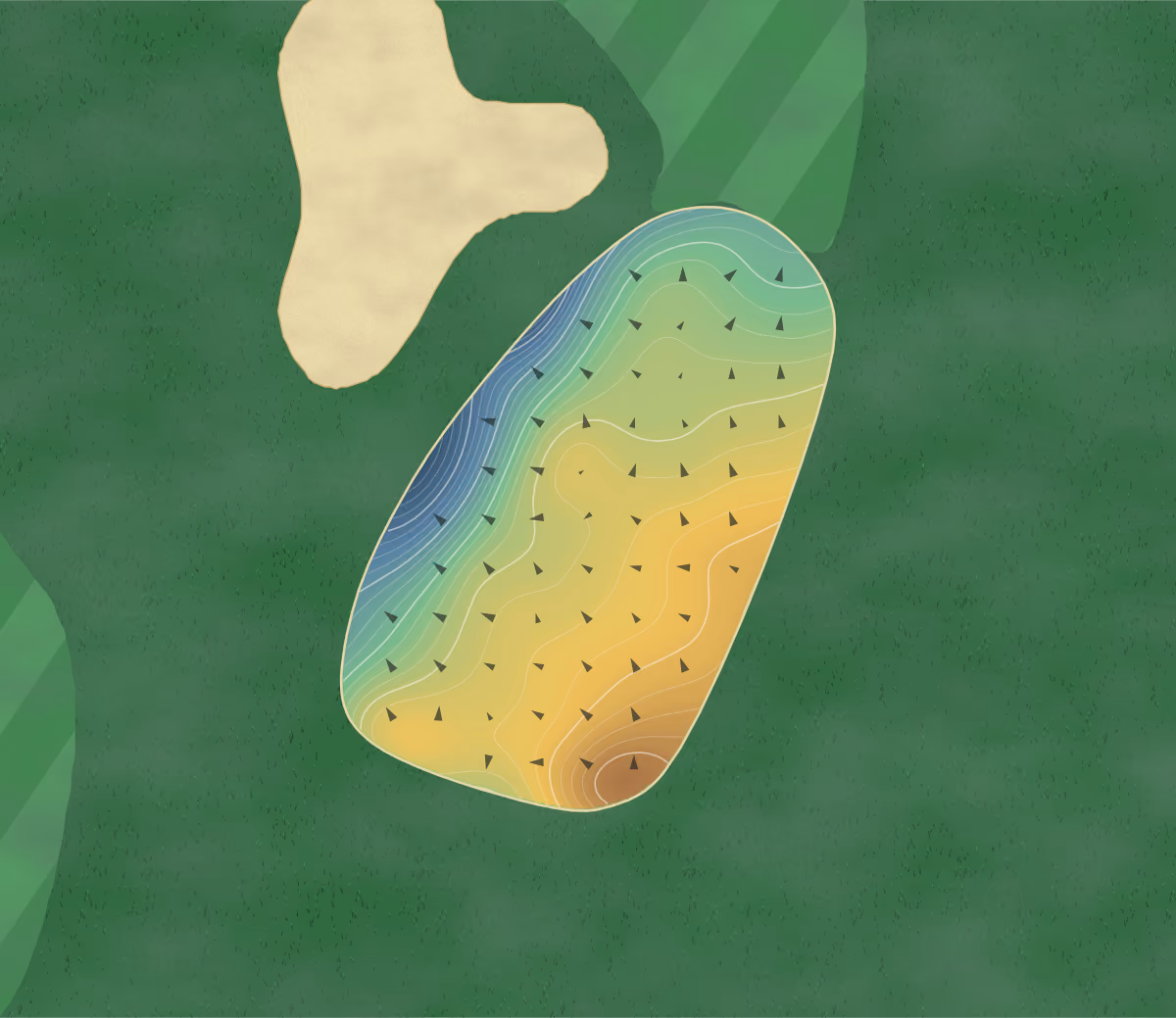 Green contour map of Magnolia Meadows in Thorsby, Alabama: 202 elevation contours at a 3-inch interval with fall-line arrows, traced from 1-meter lidar