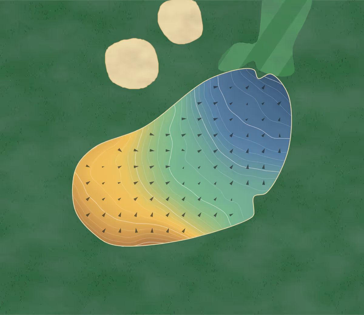 Green contour map of Magnolia in Pinehurst, North Carolina: 320 elevation contours at a 3-inch interval with fall-line arrows, traced from 1-meter lidar