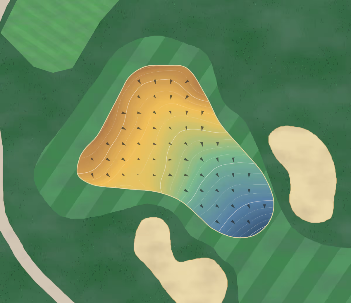 Green contour map of Maitland Golf Club in Maitland, Australia — 168 elevation contours at a 8-centimeter interval with fall-line arrows, traced from 1-meter lidar