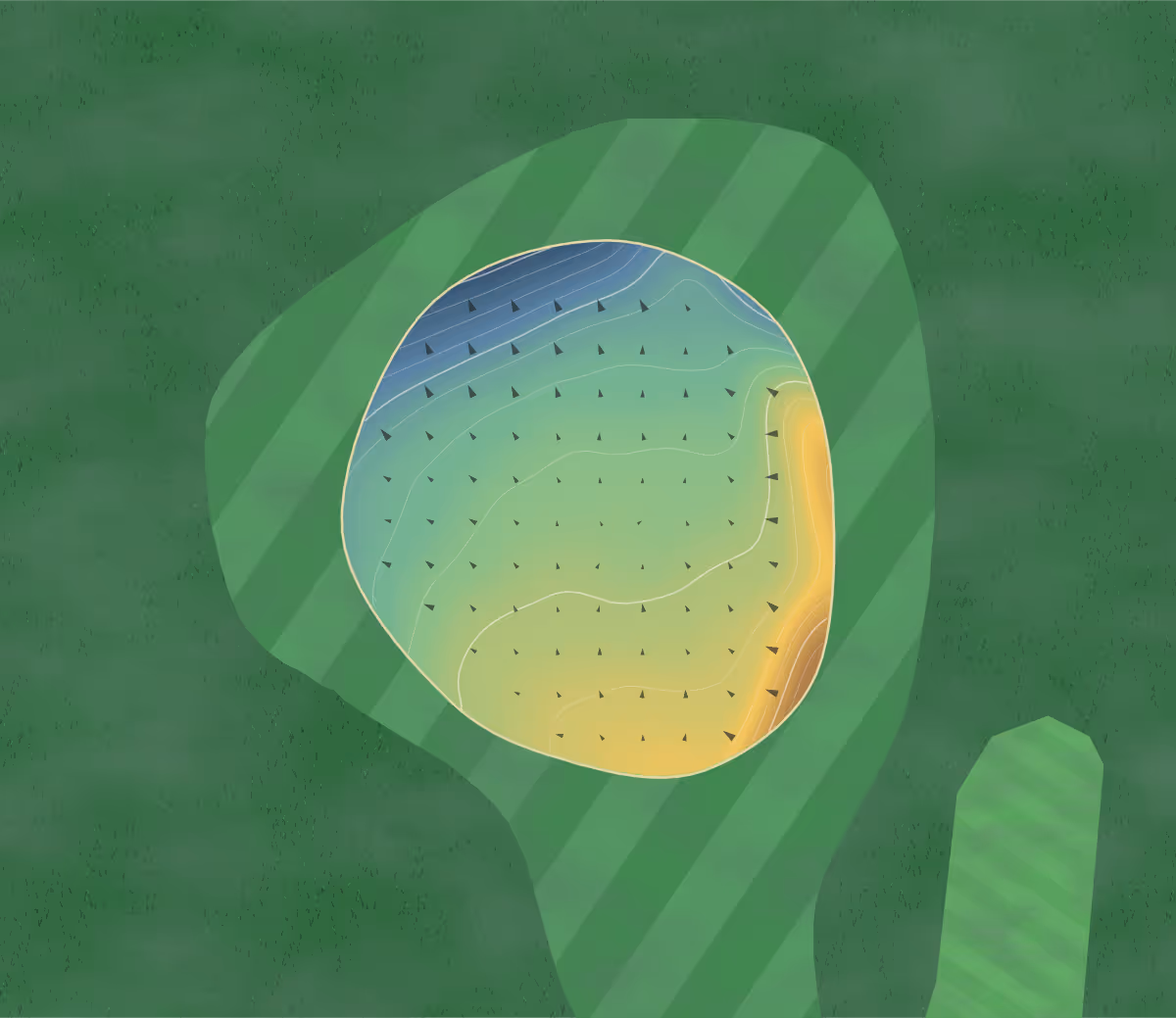 Green contour map of Maldon GC in Maldon, England: 22 elevation contours at a 8-centimeter interval with fall-line arrows, traced from 1-meter lidar
