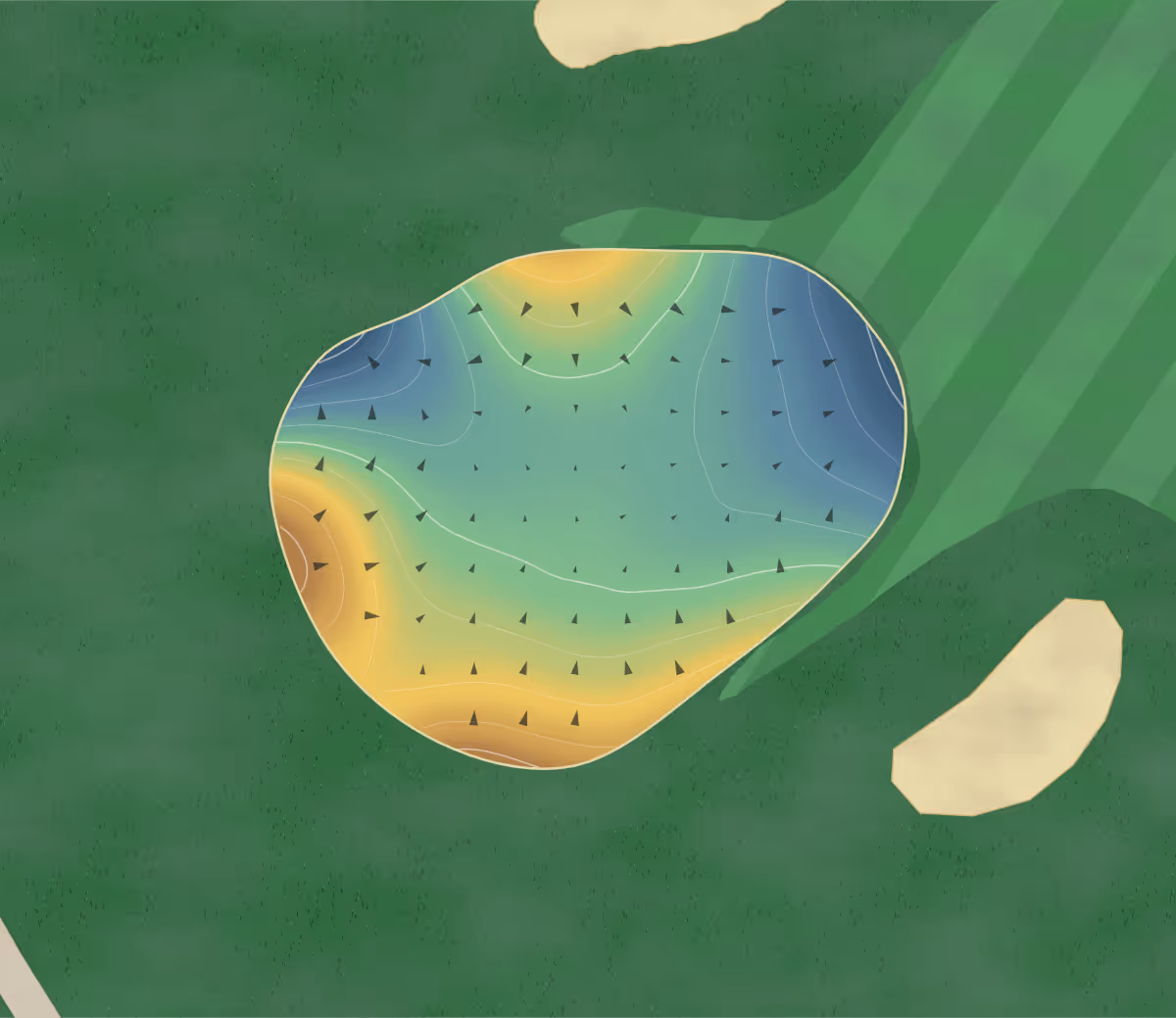 Green contour map of Manderley in Wales, United Kingdom: 9 elevation contours at a 8-centimeter interval with fall-line arrows, traced from 1-meter lidar