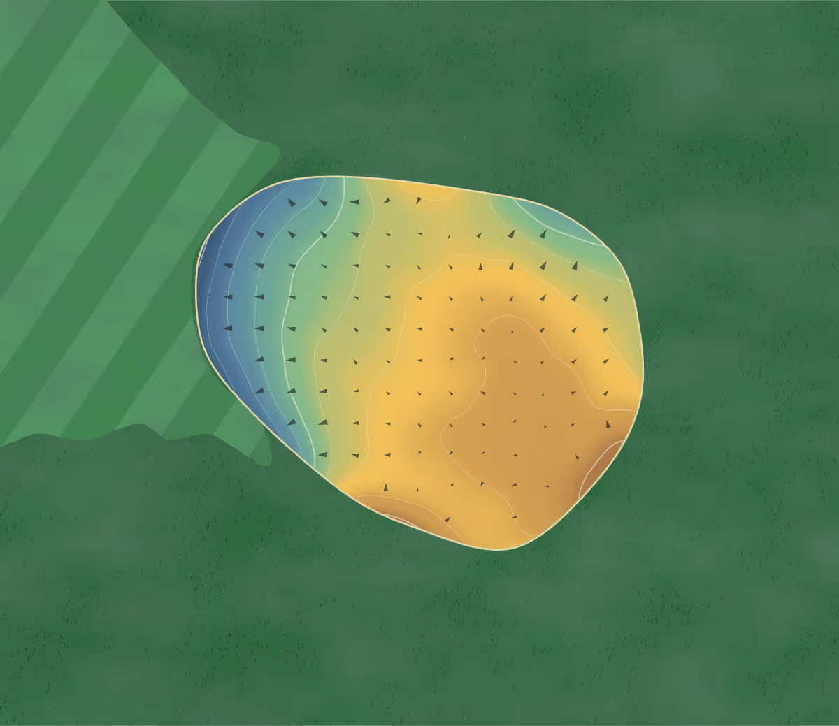 Green contour map of Manitou Beach in Watrous, Canada: 64 elevation contours at a 8-centimeter interval with fall-line arrows, traced from 1-meter lidar