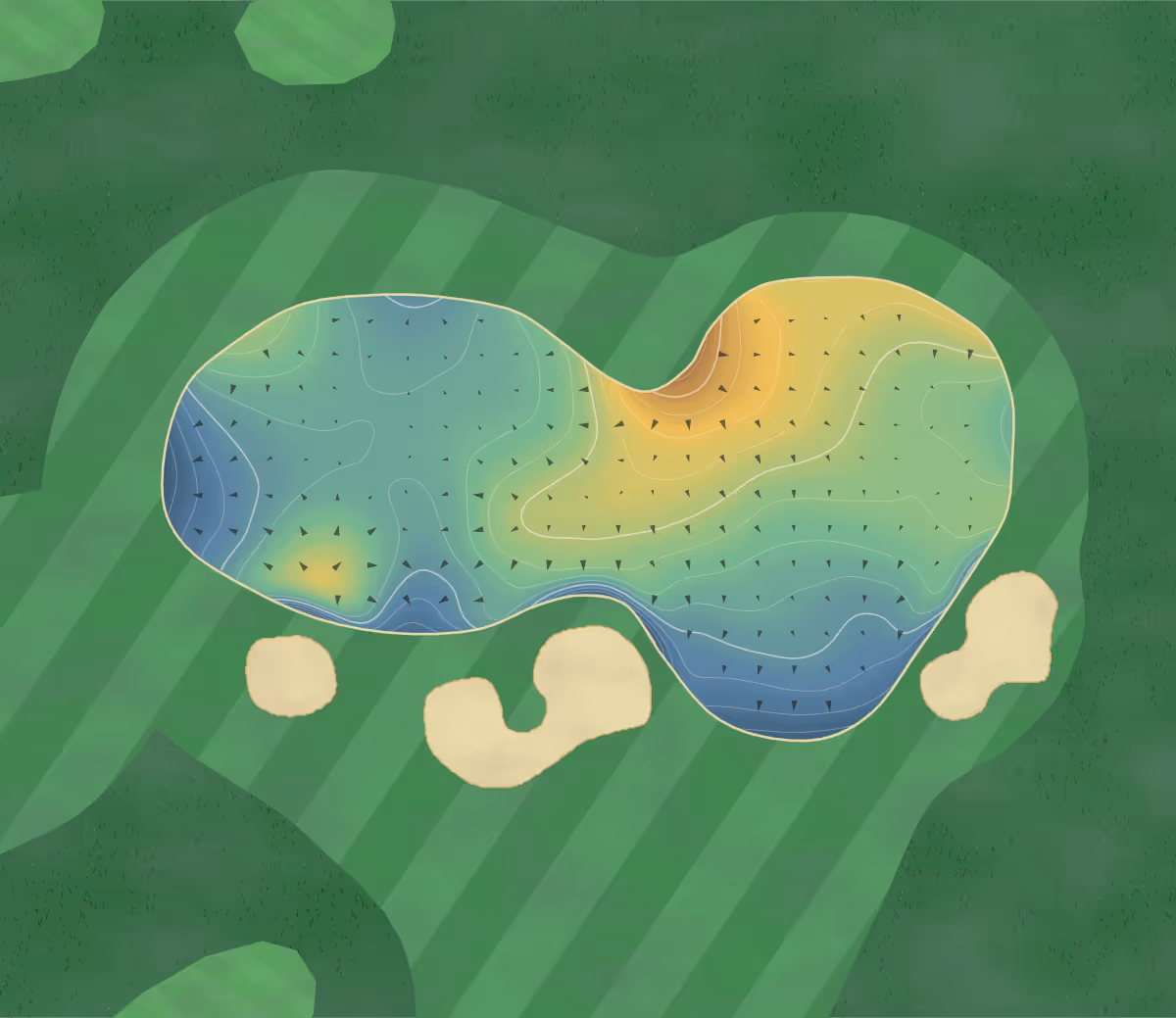 Green contour map of Manly in Manly, Australia — 221 elevation contours at a 8-centimeter interval with fall-line arrows, traced from 1-meter lidar