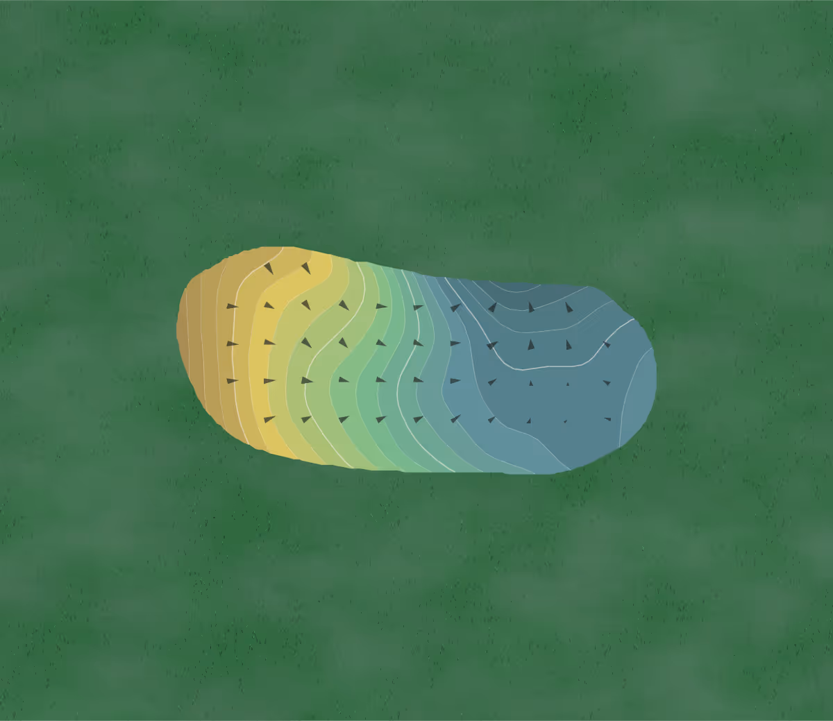 Green contour map of Maple Brook in Charlotte, Michigan — 126 elevation contours at a 3-inch interval with fall-line arrows, traced from 1-meter lidar