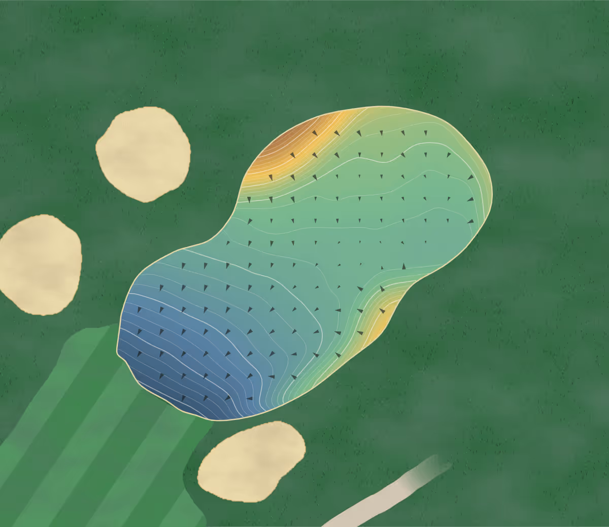 Green contour map of Maple City in Chatham, Canada: 246 elevation contours at a 8-centimeter interval with fall-line arrows, traced from 1-meter lidar