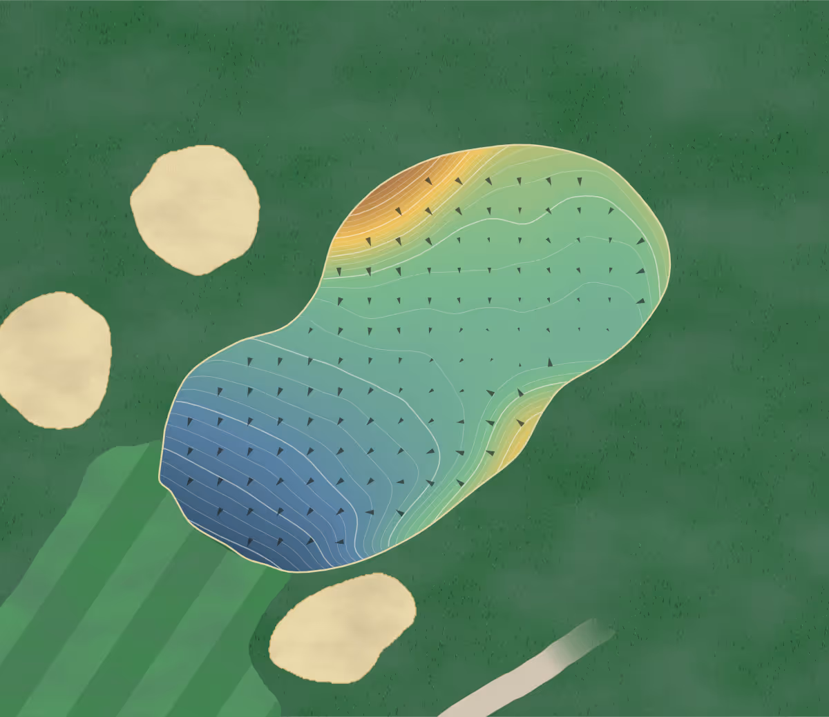 Green contour map of Maple City in Chatham, Canada — 245 elevation contours at a 8-centimeter interval with fall-line arrows, traced from 1-meter lidar