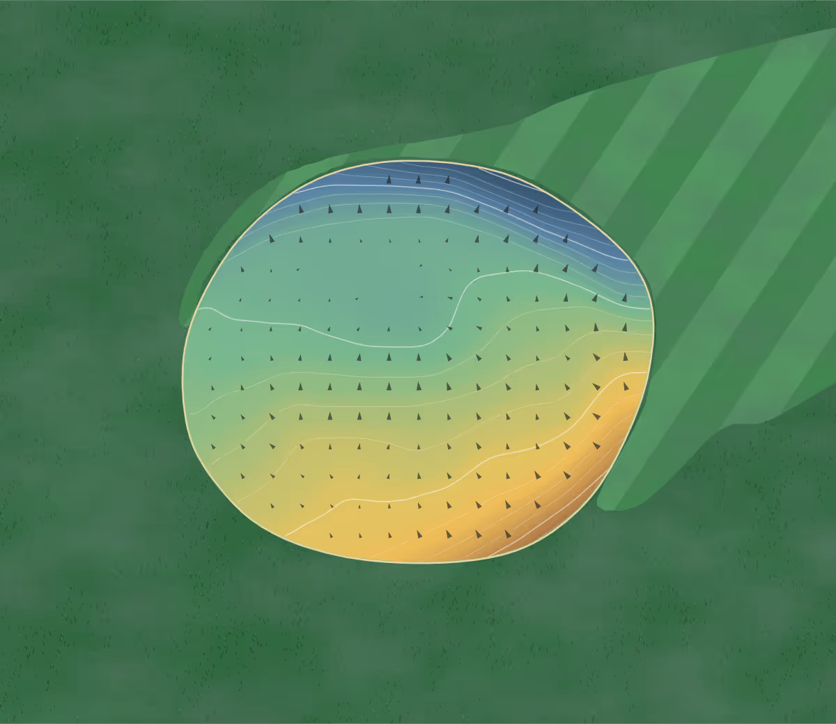 Green contour map of Maple Creek in Maple Creek, Canada: 80 elevation contours at a 8-centimeter interval with fall-line arrows, traced from 1-meter lidar