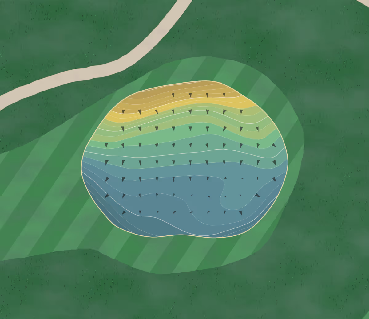 Green contour map of Maple Valley in Rochester, Minnesota — 204 elevation contours at a 3-inch interval with fall-line arrows, traced from 1-meter lidar