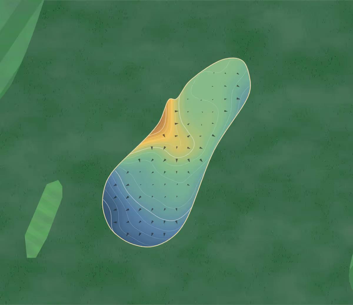 Green contour map of Maplewood in Muncie, Indiana: 142 elevation contours at a 3-inch interval with fall-line arrows, traced from 1-meter lidar