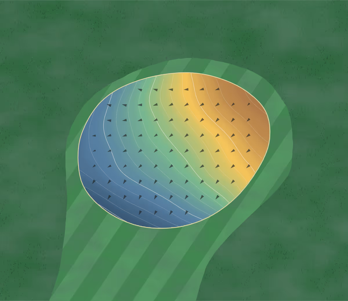 Green contour map of Mapple Hills in New Hampton, Iowa: 99 elevation contours at a 3-inch interval with fall-line arrows, traced from 1-meter lidar