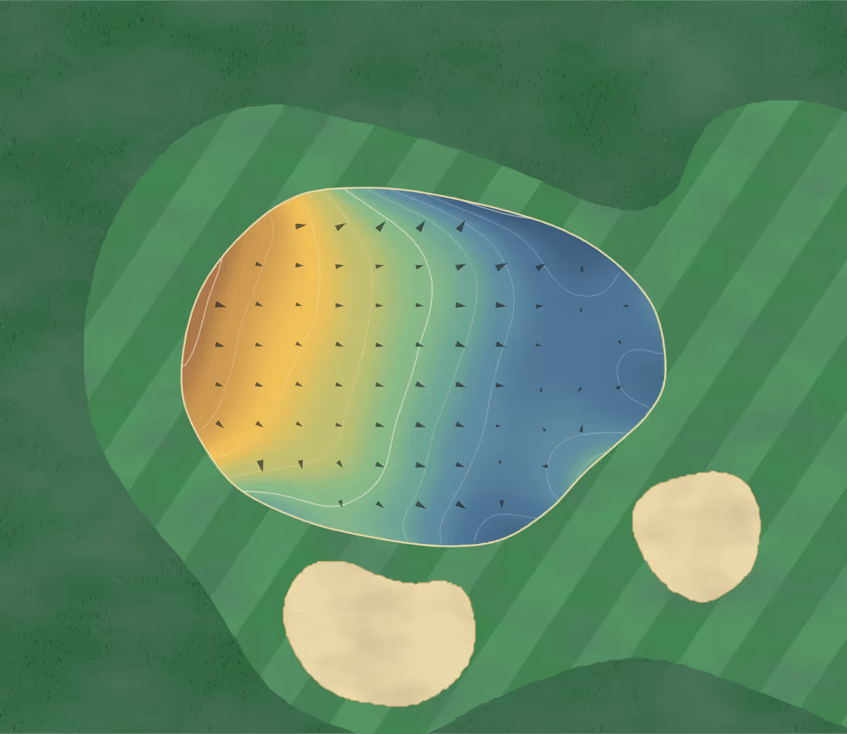 Green contour map of Maraenui in Napier, New Zealand — 131 elevation contours at a 8-centimeter interval with fall-line arrows, traced from 1-meter lidar