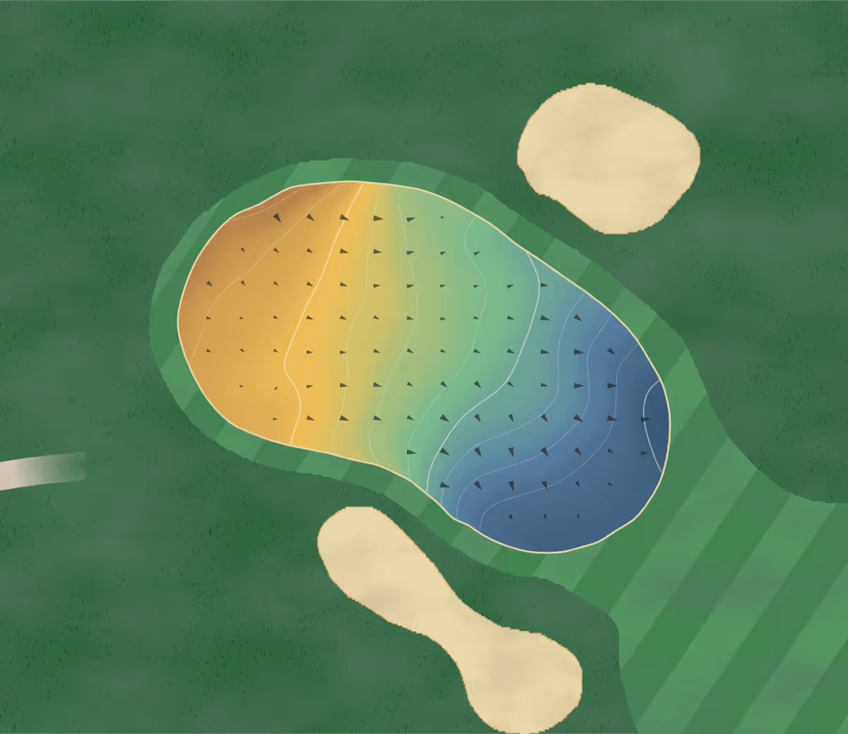 Green contour map of March Meadows in Honeymoon Bay, Canada — 70 elevation contours at a 8-centimeter interval with fall-line arrows, traced from 1-meter lidar