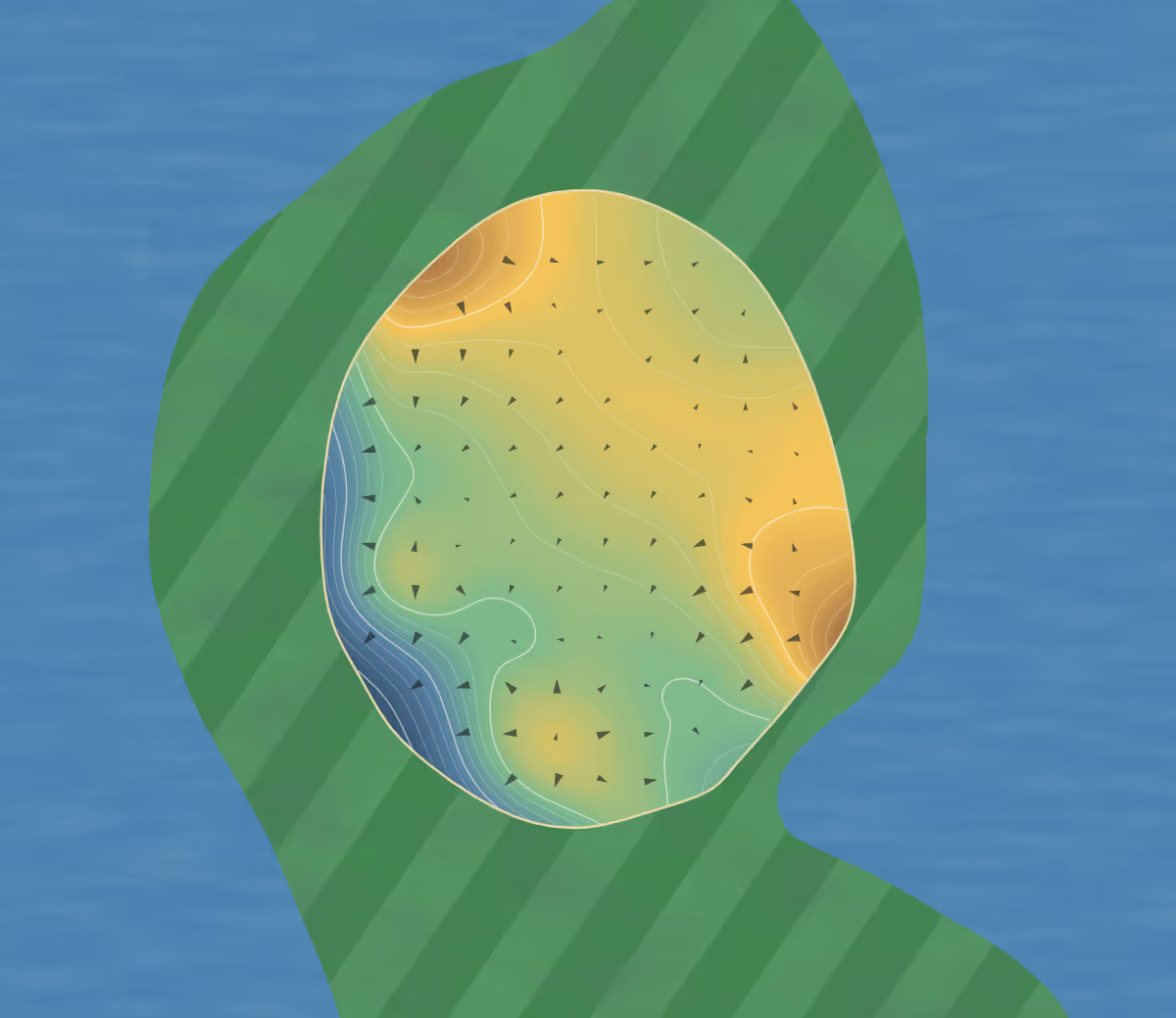 Green contour map of Maroochy River in Bli Bli, Australia — 16 elevation contours at a 8-centimeter interval with fall-line arrows, traced from 1-meter lidar