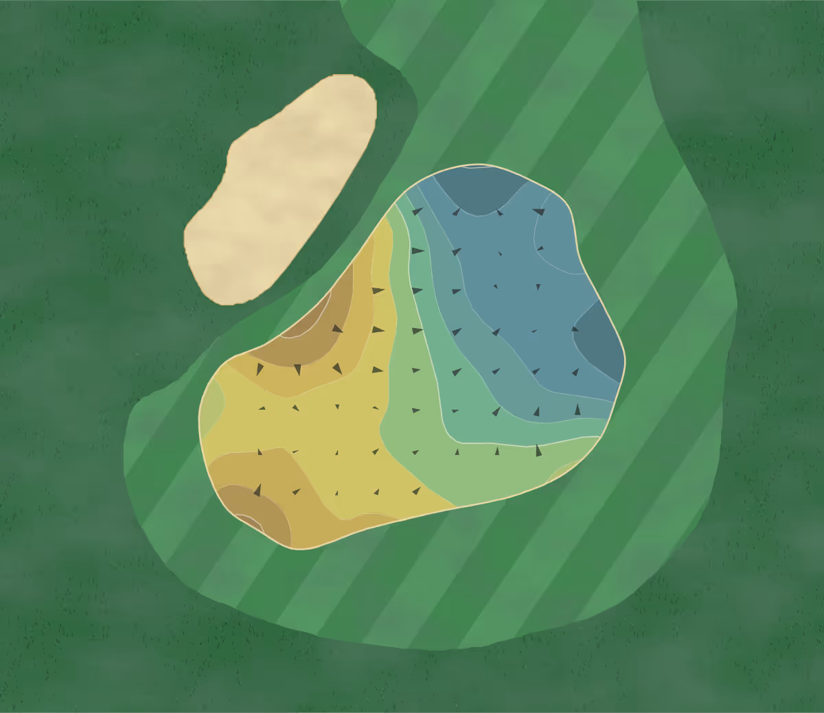 Green contour map of Mary Calder in Savannah, Georgia — 77 elevation contours at a 3-inch interval with fall-line arrows, traced from 1-meter lidar